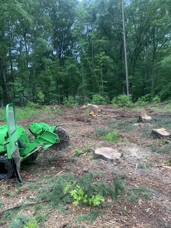Lot clearing job in Hampton Roads VA - stump grinder removing multiple stumps on wooded property