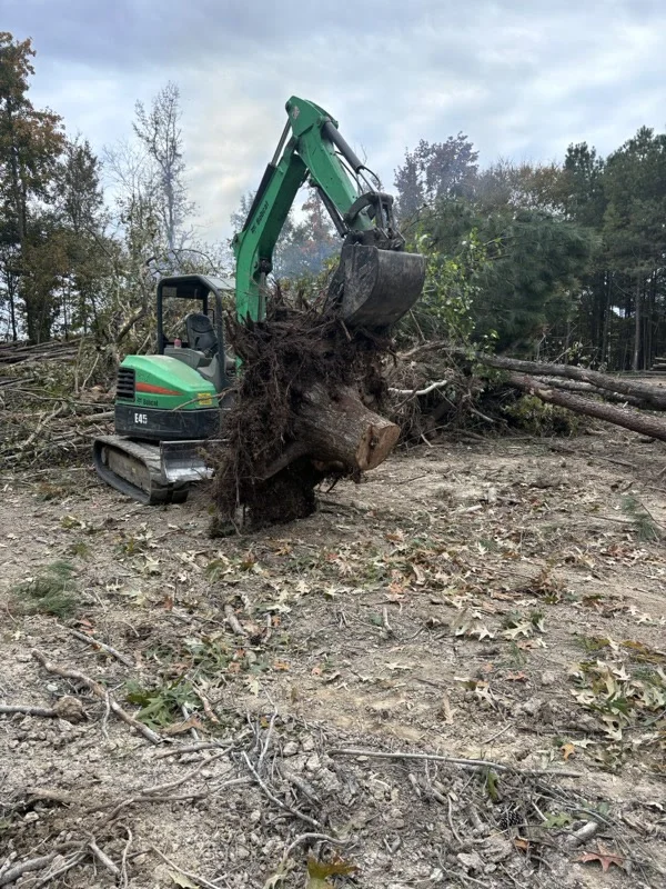 Excavator removing tree stump and roots in Hampton Roads VA