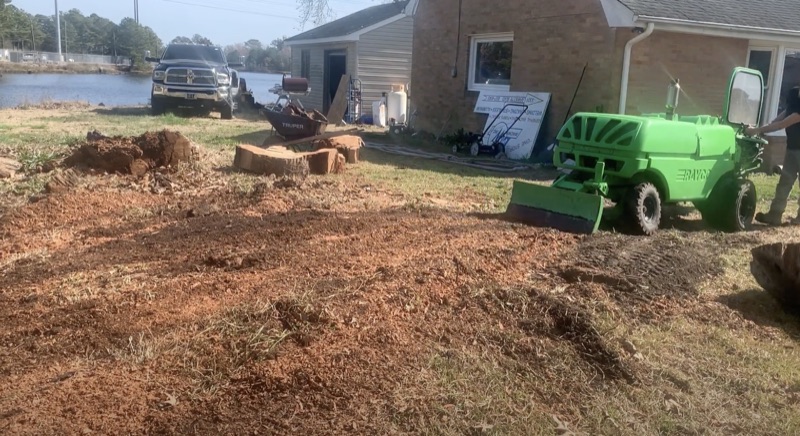 Clean yard after professional stump grinding in Chesapeake VA