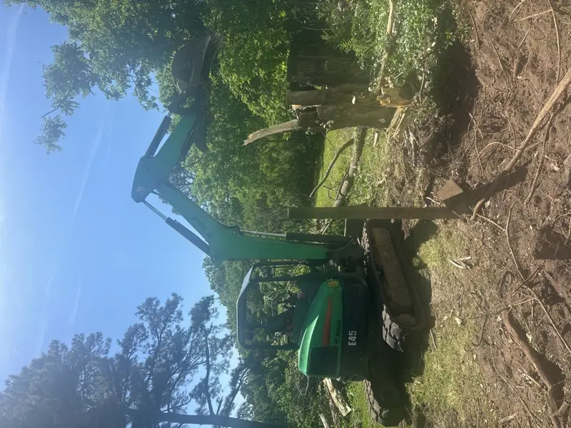 Land clearing equipment on job site in Virginia Beach