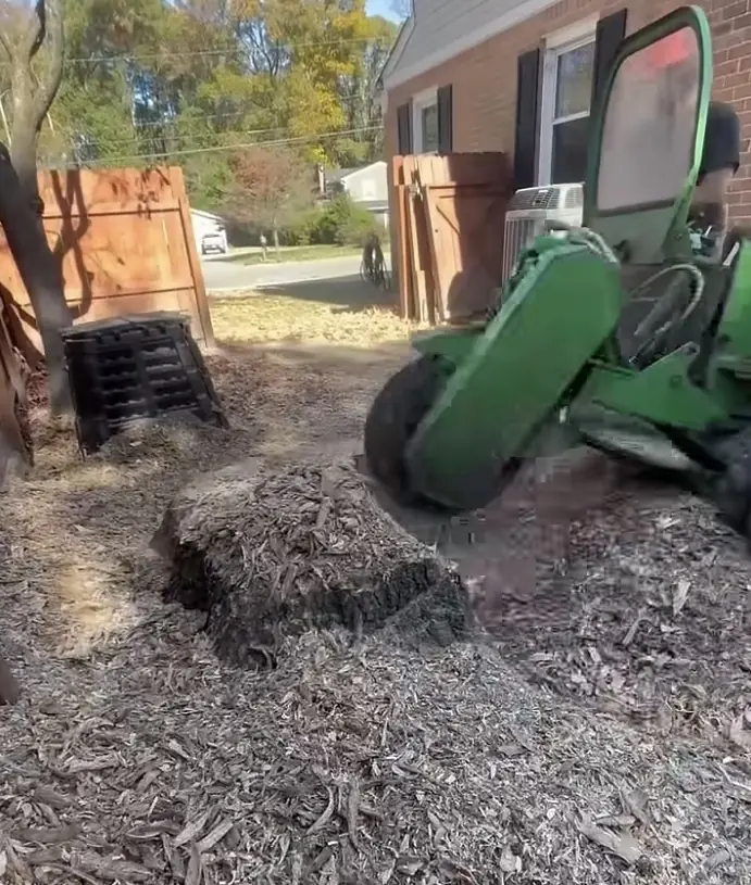 Land clearing and stump removal project in Suffolk VA