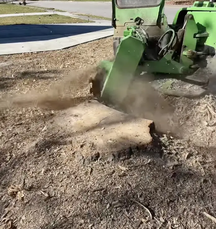 Professional stump grinder removing tree stump in Suffolk VA